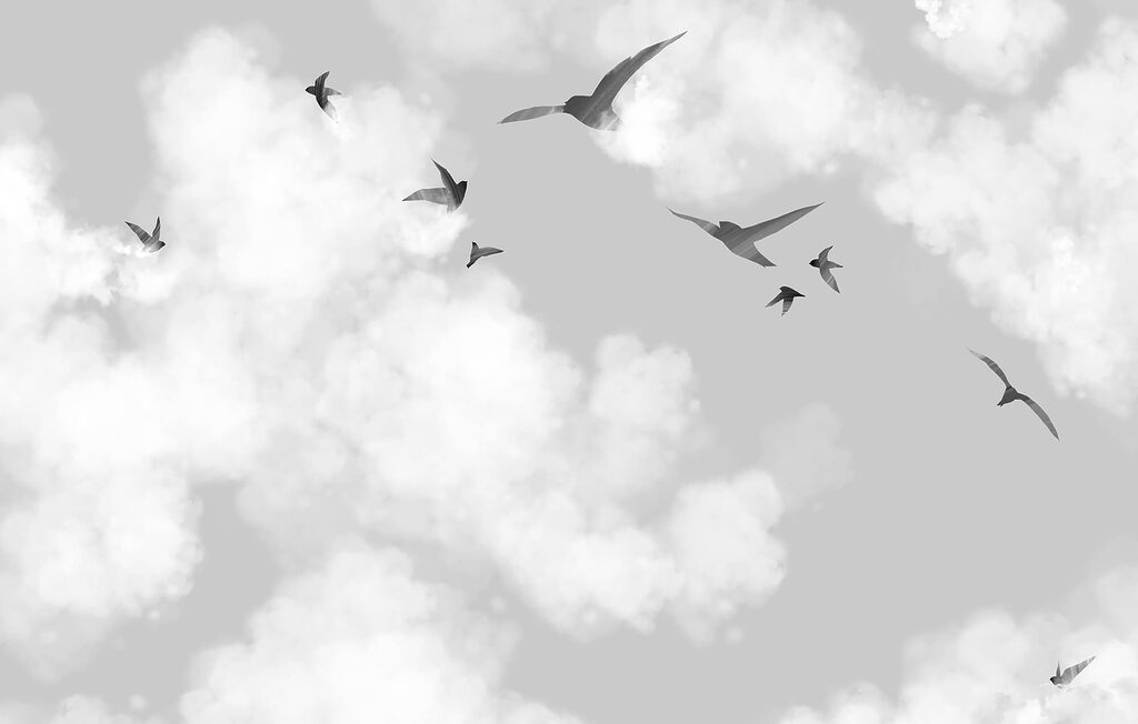 Vogels tussen witte wolken — volledig ontwerp