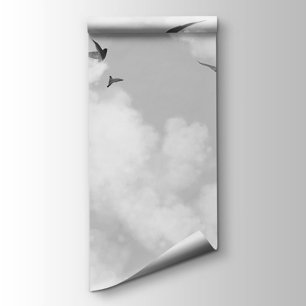 Vogels tussen witte wolken — productweergave