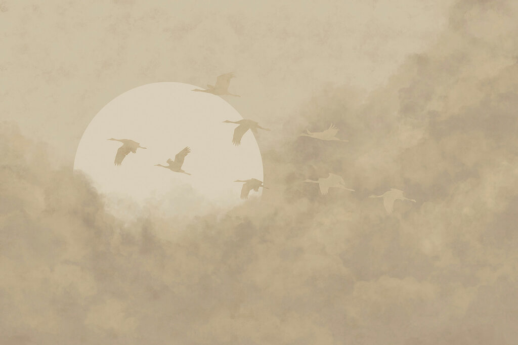 Vogels voor bleke zon — volledig ontwerp