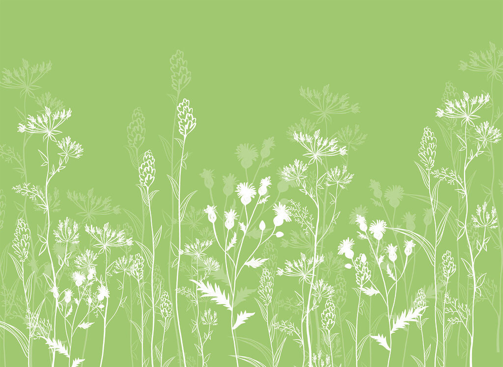 Witte bloemen op een groene achtergrond — volledig ontwerp
