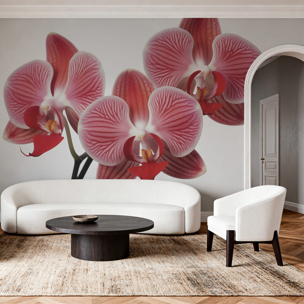 Roze orchidee op wit — interieur 1