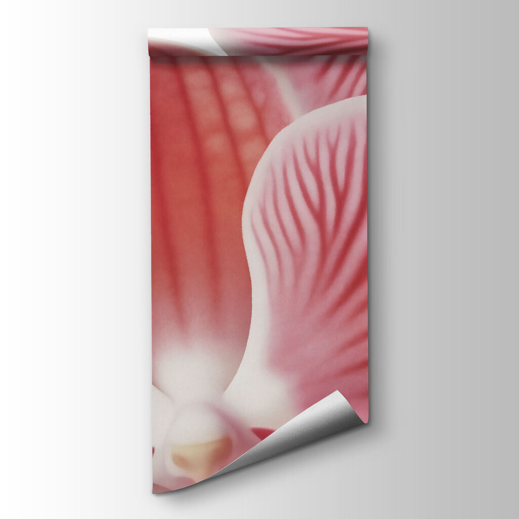 Roze orchidee op wit — productweergave