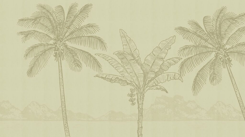 Palmbomen en een strand — volledig ontwerp