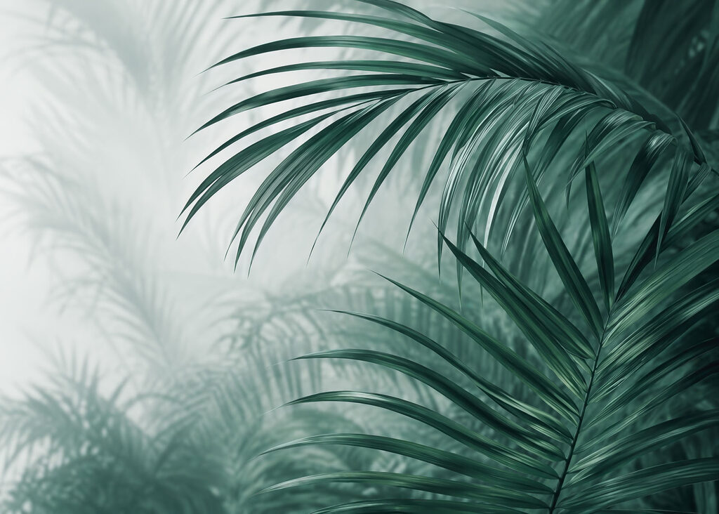 Palmveren verdwijnen in turquoise — volledig ontwerp