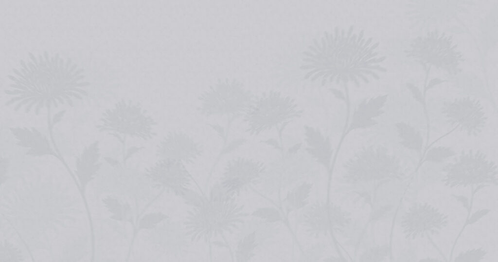 Witte achtergrond met bloemen — volledig ontwerp