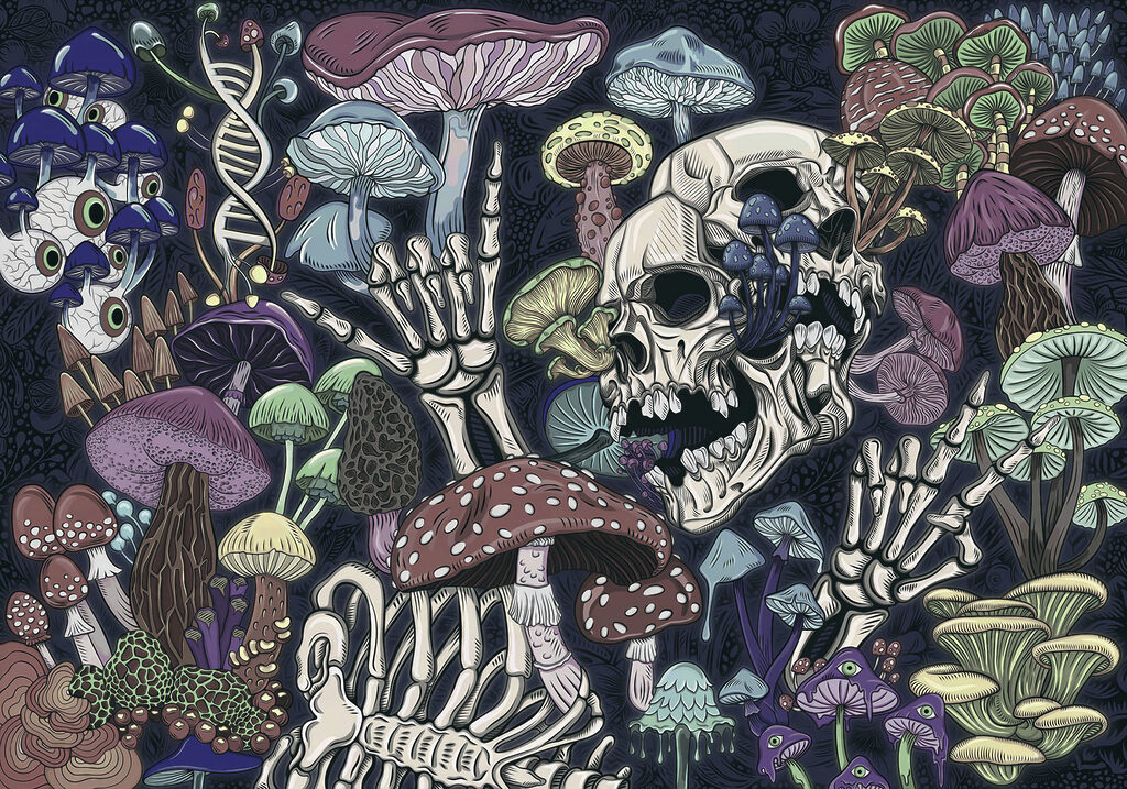 Schedel tussen donkere paddenstoelen — volledig ontwerp