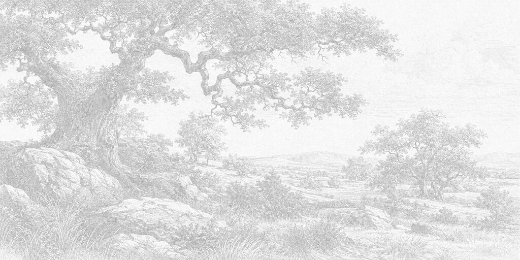 Tekening van een boom en rotsen — volledig ontwerp