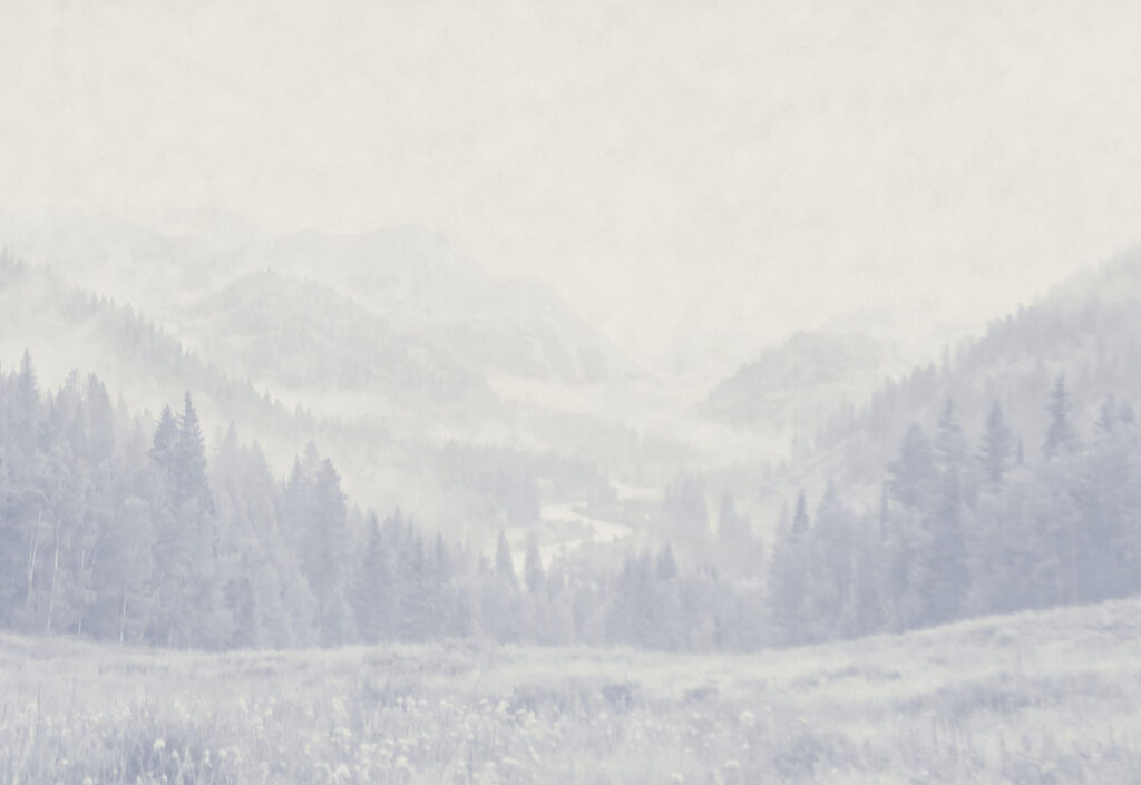 Bergweide in blauwe nevel — volledig ontwerp