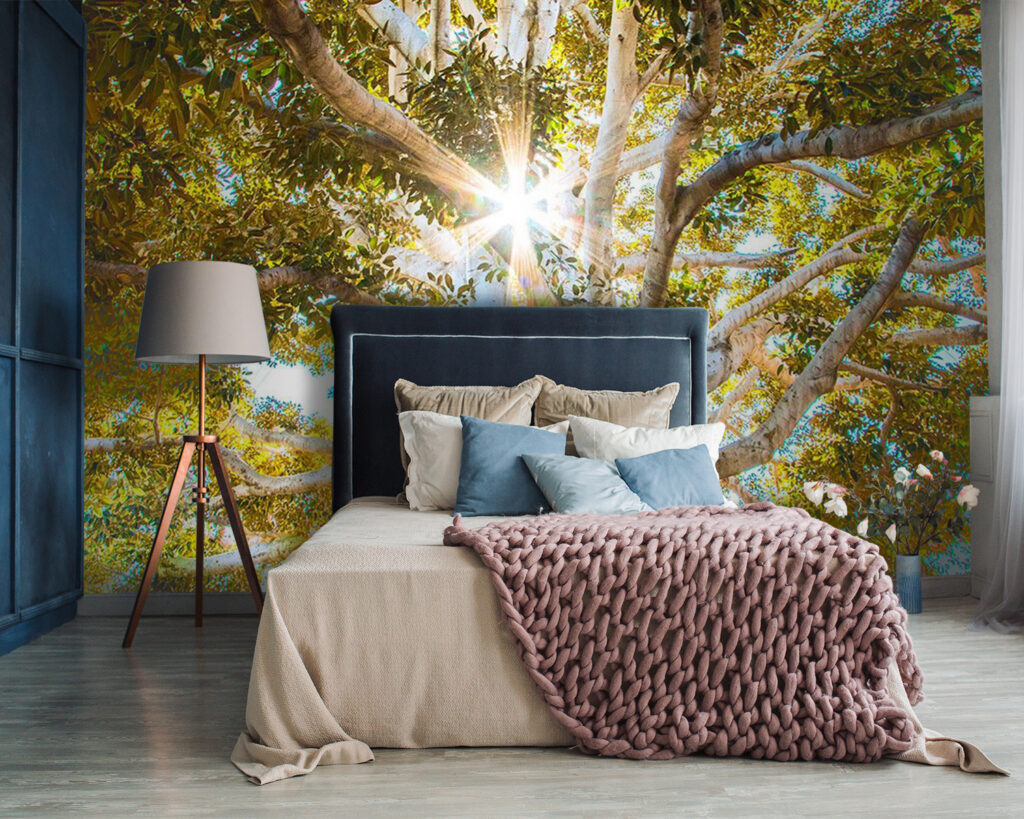 Zonnestralen achter oude boomwortels — interieur 2