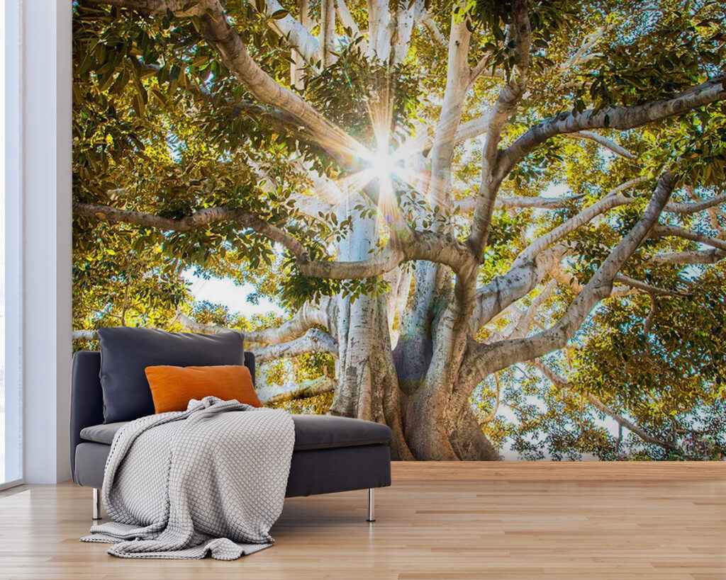 Zonnestralen achter oude boomwortels — interieur 3