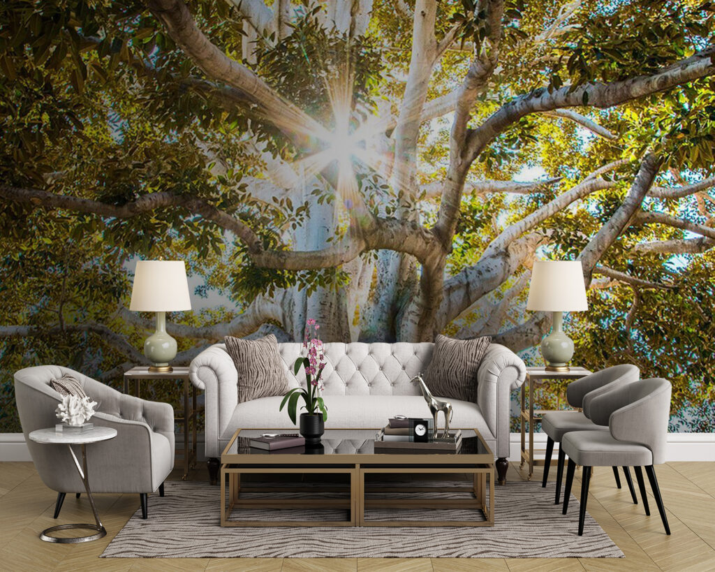 Zonnestralen achter oude boomwortels — interieur 1
