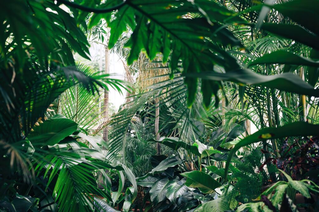 Diepgroene junglebladeren — volledig ontwerp