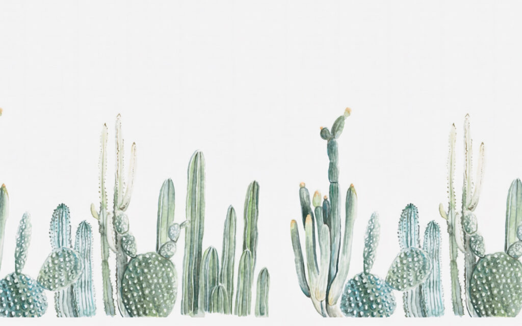 Groep cactussen op witte achtergrond — volledig ontwerp