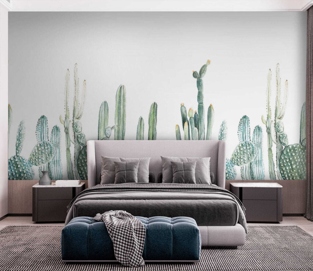 Groep cactussen op witte achtergrond — interieur 3