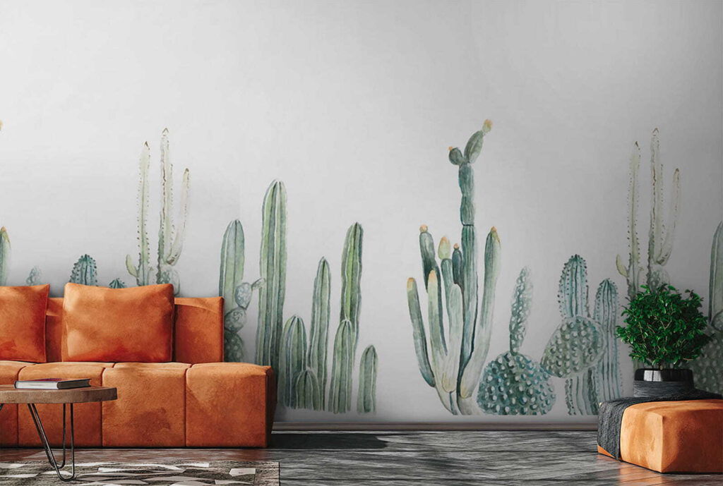 Groep cactussen op witte achtergrond — interieur 1
