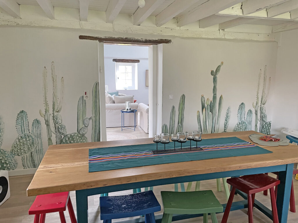 Groep cactussen op witte achtergrond — interieur 9