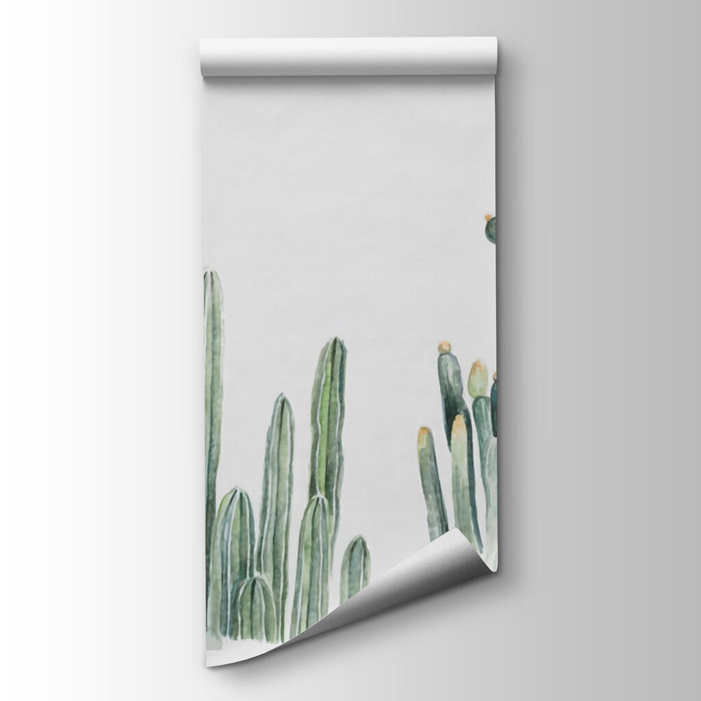 Groep cactussen op witte achtergrond — productweergave