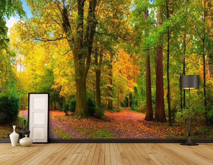 Pad met bomen en bladeren in een interieur