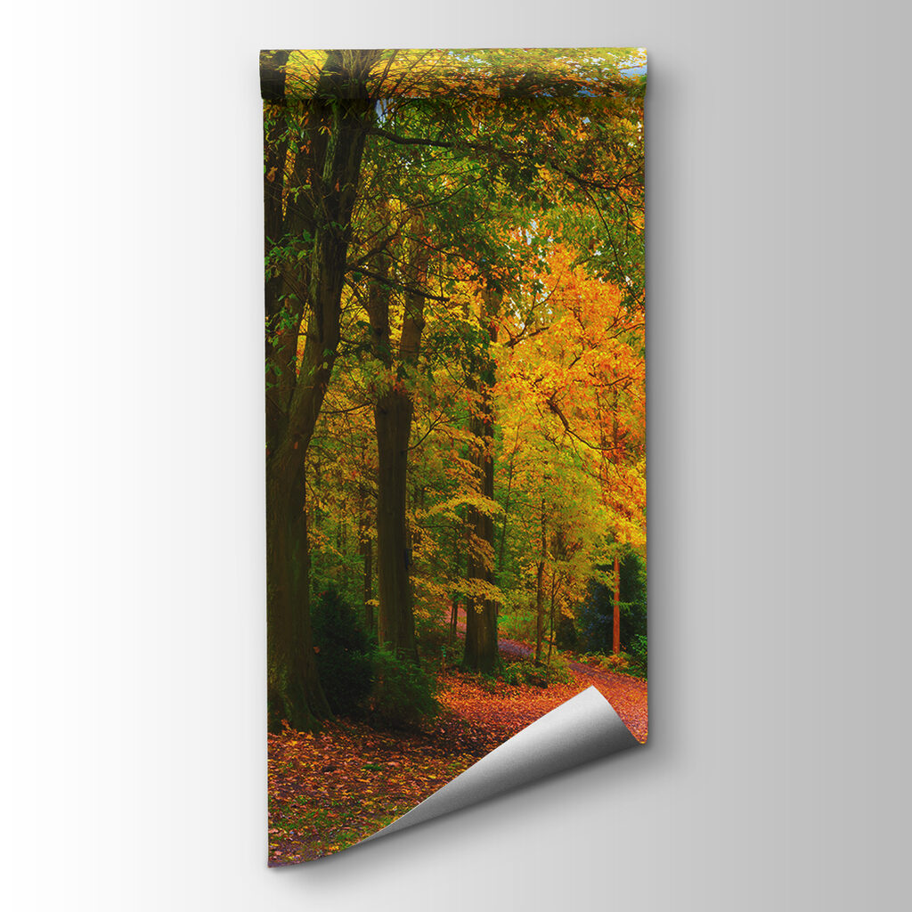 Een bocht door herfstlicht — productweergave