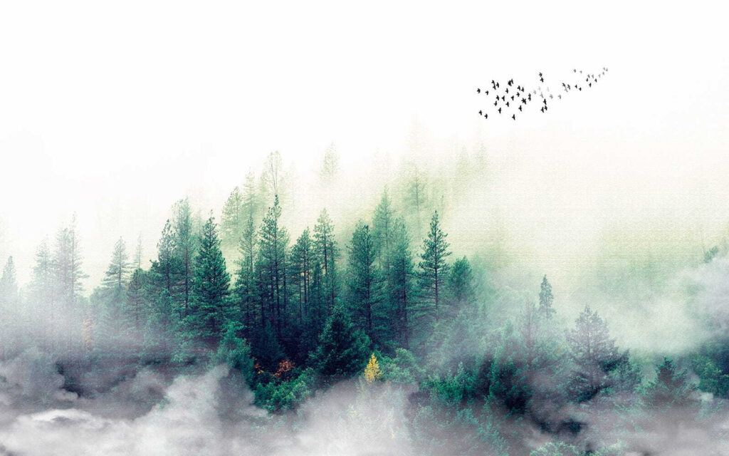Kleine dennen in mistwolken — volledig ontwerp
