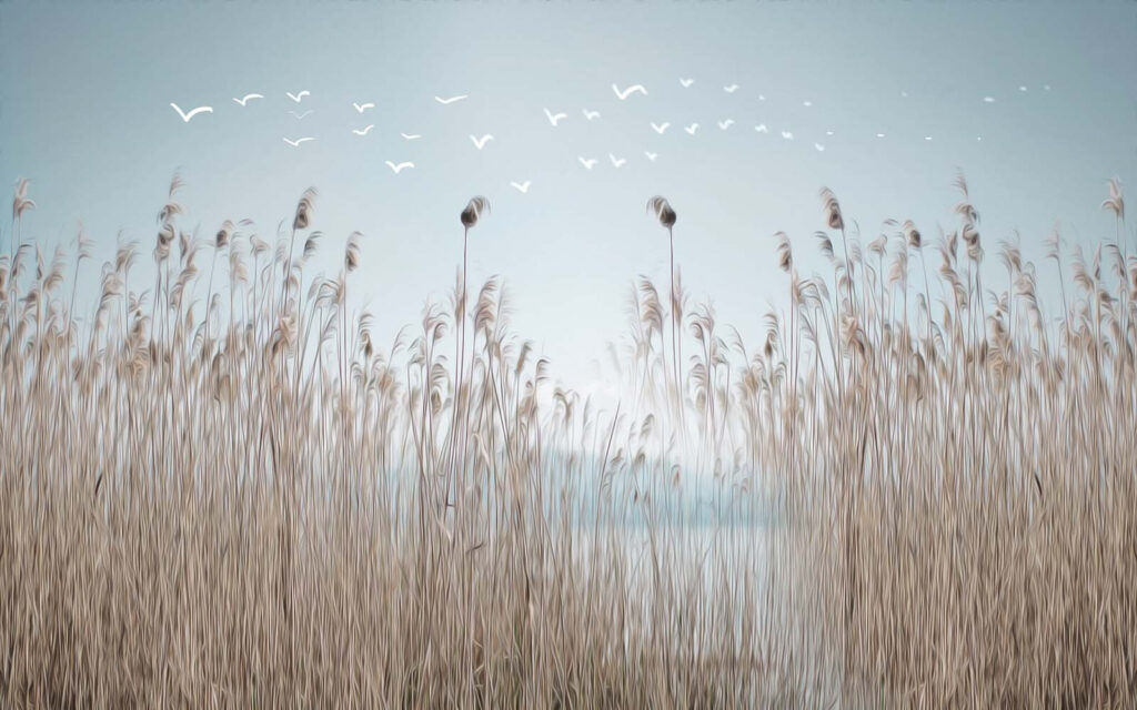 Vogels boven droge rietpluimen — volledig ontwerp