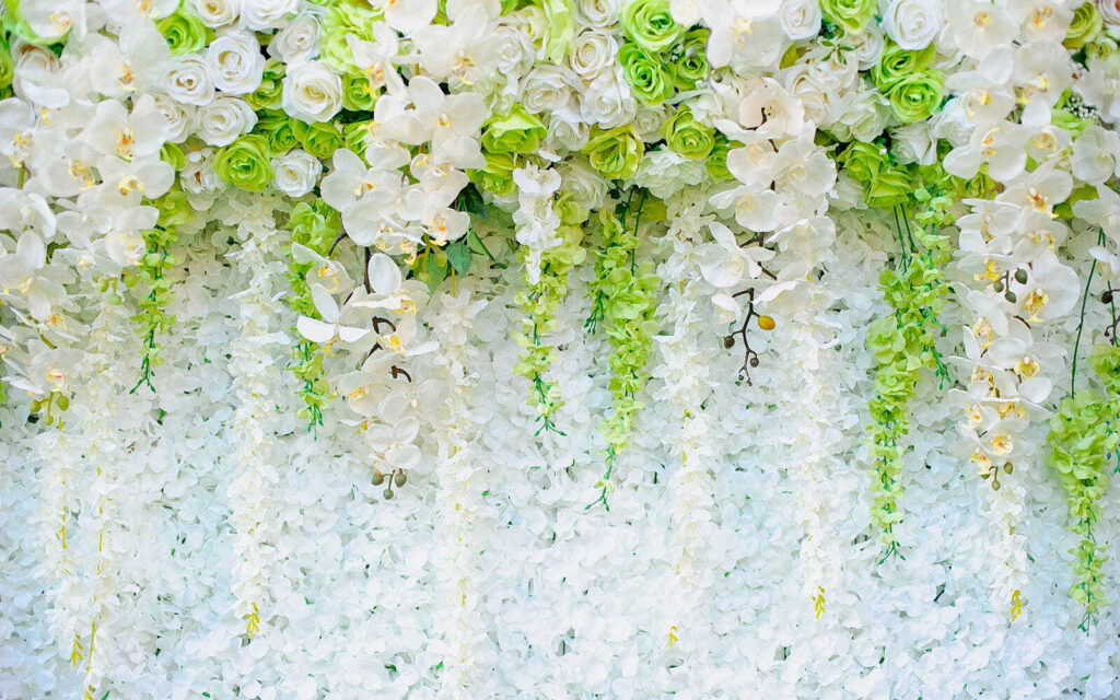 Witte bloemtrossen hangen omlaag — volledig ontwerp