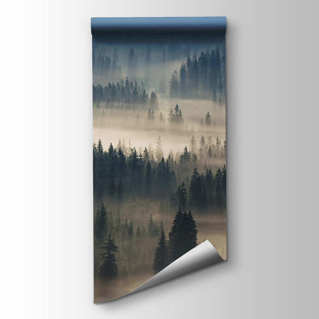 Mist hangt tussen dennenheuvels — productweergave