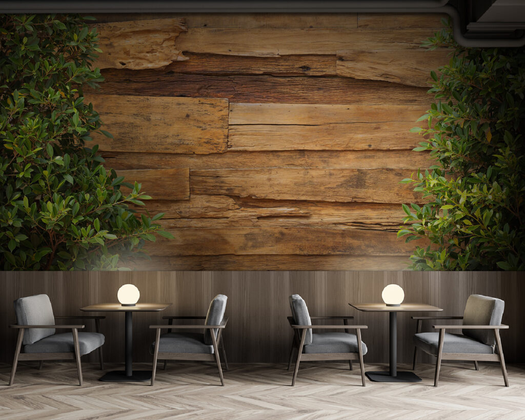 Klimop omlijst oude planken — interieur 5