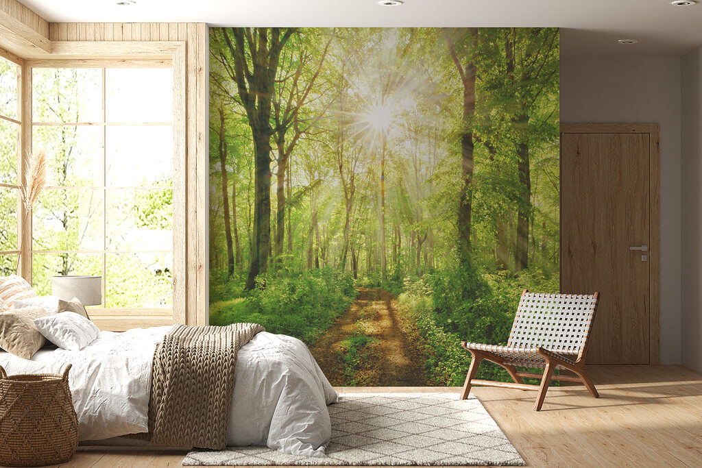 Zonlicht op het bospad — interieur 7