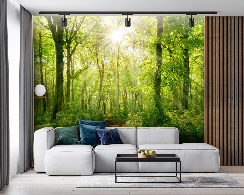 Zonlicht op het bospad — interieur 3