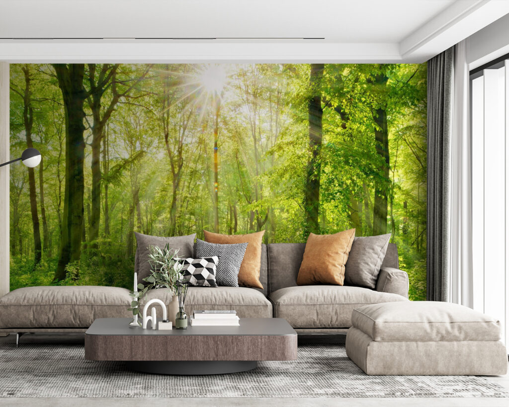 Zonlicht op het bospad — interieur 4