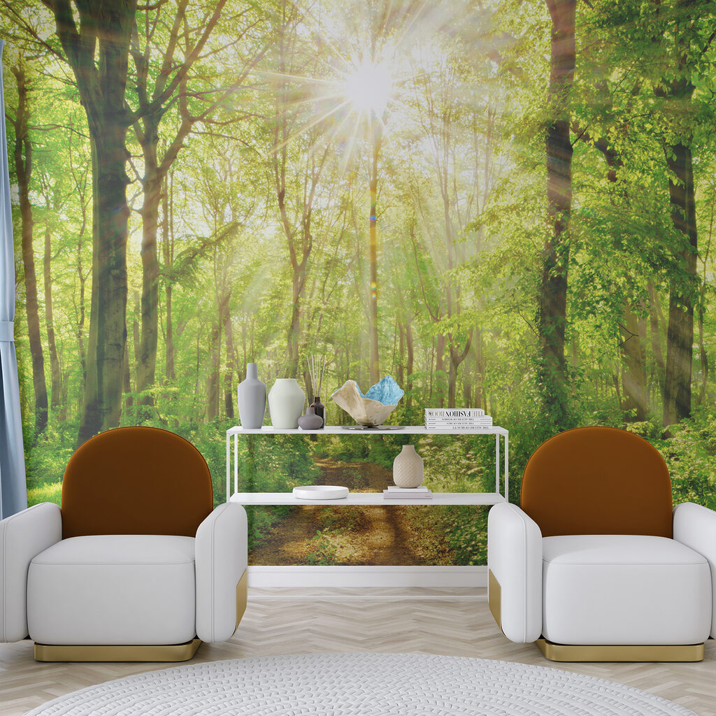 Zonlicht op het bospad — interieur 6