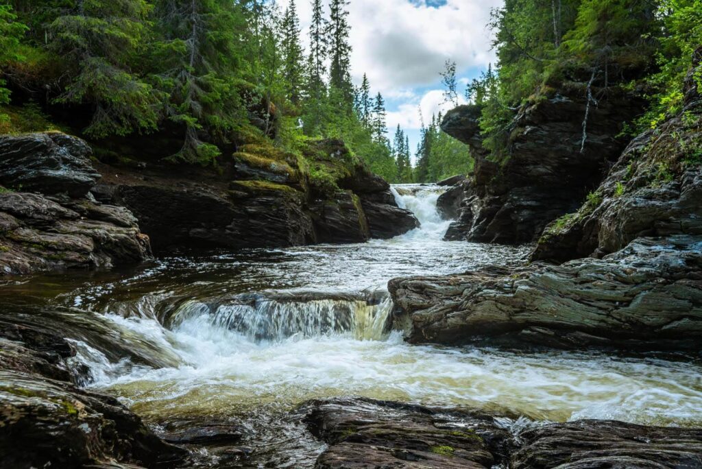 Water tussen bemoste stenen — volledig ontwerp