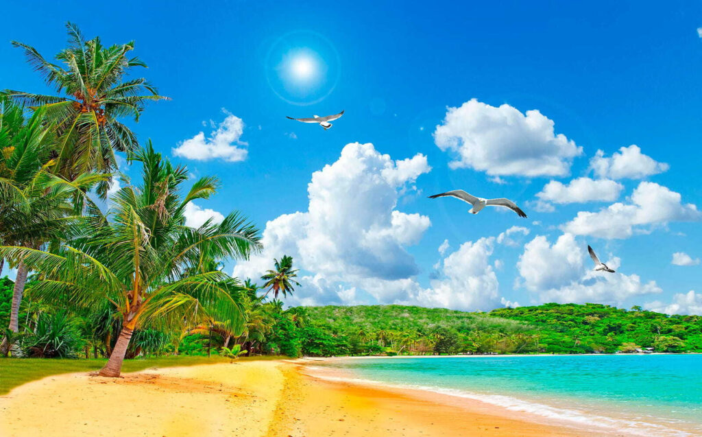 Strand met palmbomen en water — volledig ontwerp
