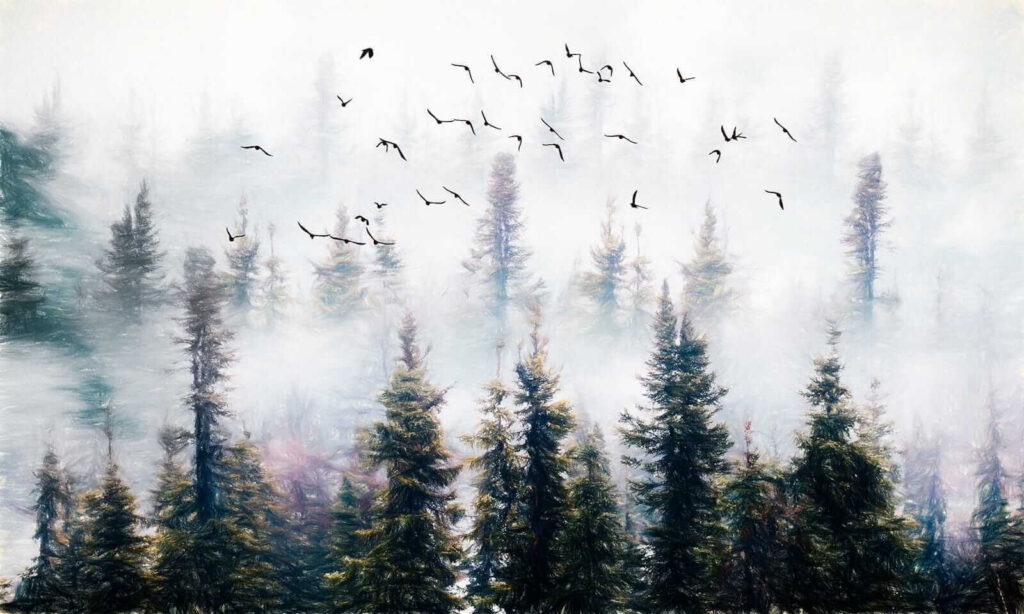 Vogels stijgen boven bosnevel — volledig ontwerp