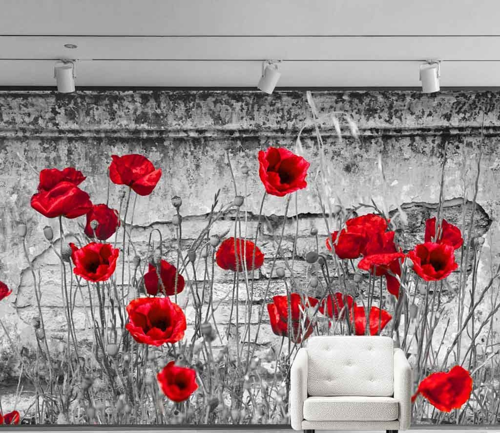 Rode bloemen in een veld — interieur 1