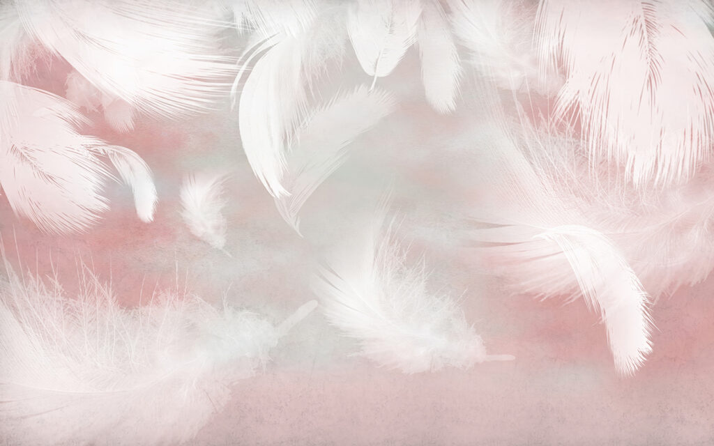 Witte veren op een roze achtergrond — volledig ontwerp