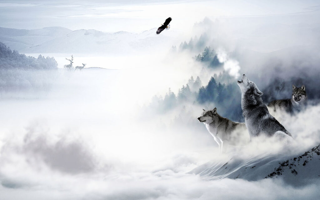 Huilende wolf in de sneeuw — volledig ontwerp