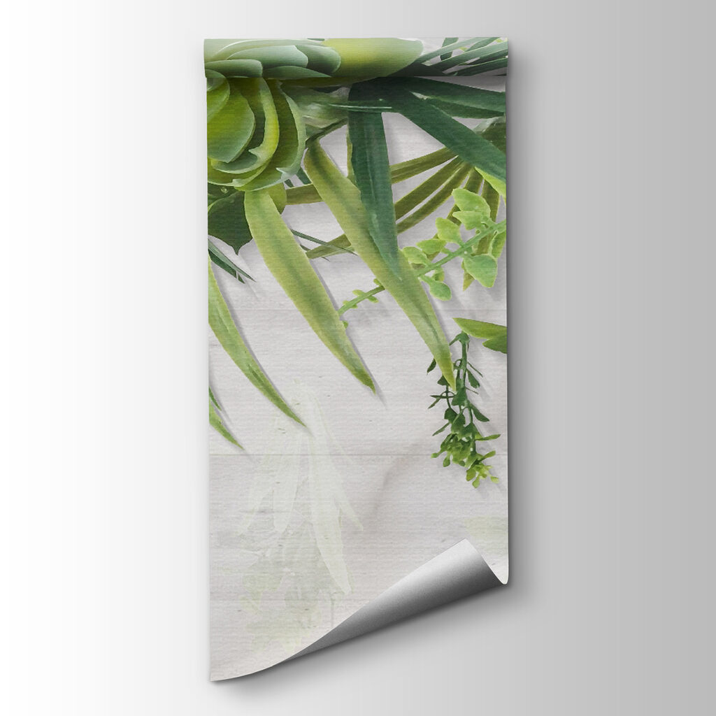 Vetplanten en bladeren hangen — productweergave