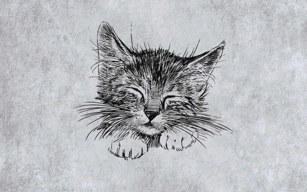Een slaperig kattenkopje — volledig ontwerp