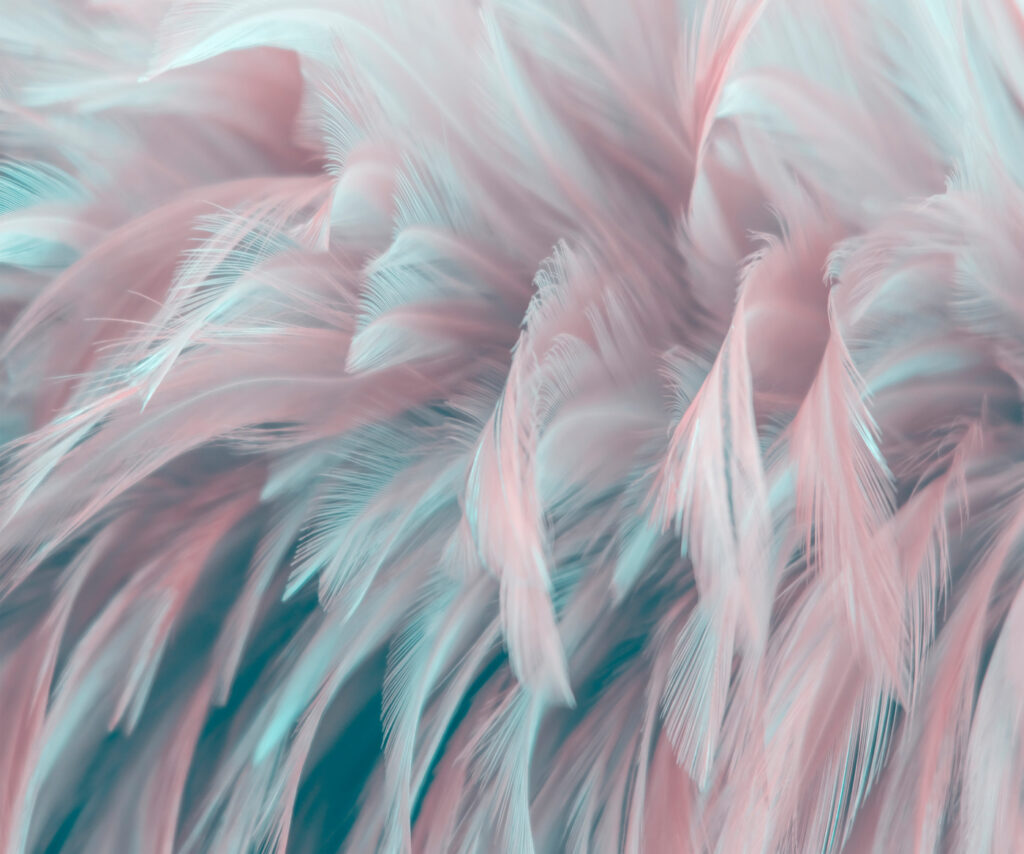 Delicate veren in zachte kleuren — volledig ontwerp