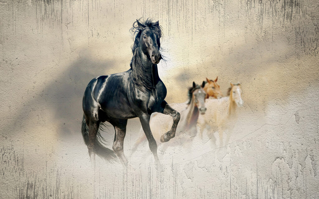 Paarden in het licht — volledig ontwerp