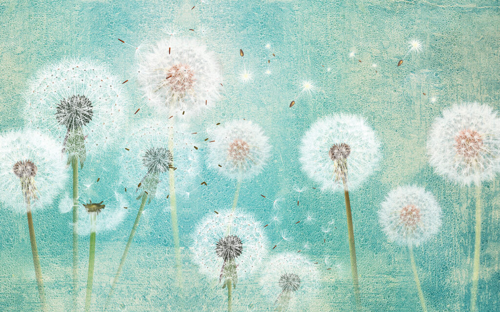 Groep paardenbloemen in de lucht — volledig ontwerp