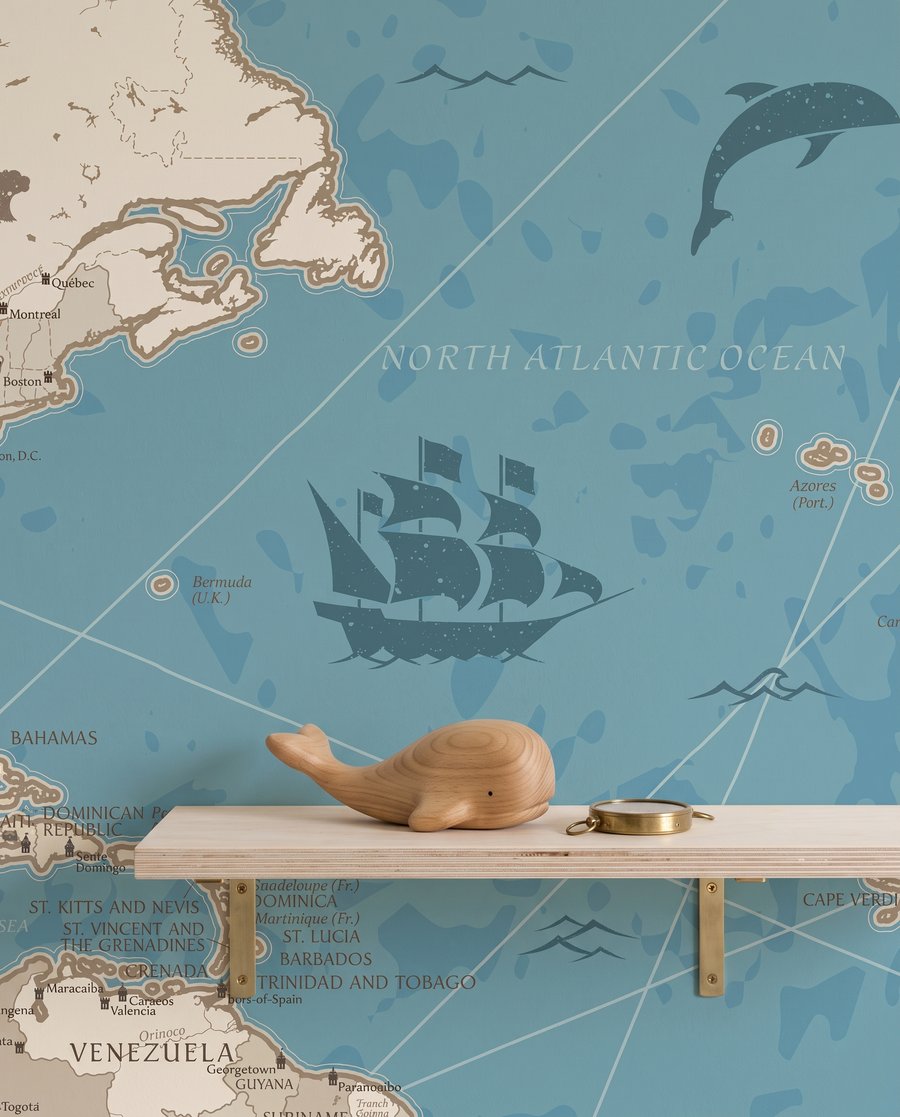 De wereld in kaart — detail