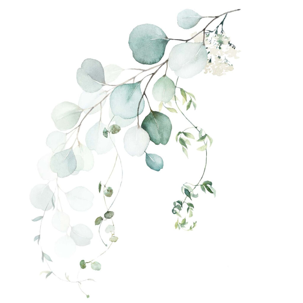 Aquarel van een tak met bladeren — volledig ontwerp
