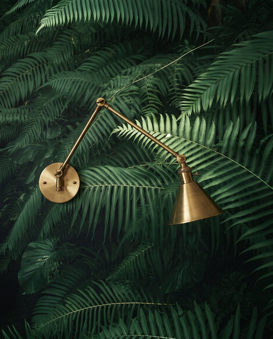 Diep tussen groene varens — detail