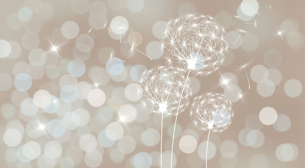 Pluisbollen tussen lichtcirkels — volledig ontwerp