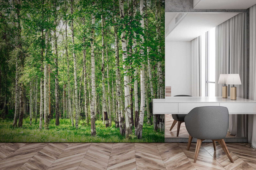 Berkenstammen boven groen gras — interieur 2