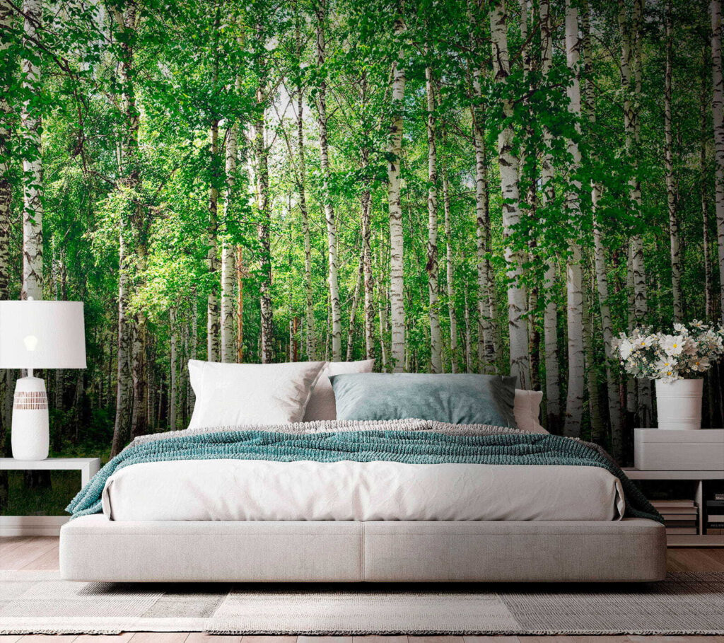 Berkenstammen boven groen gras — interieur 3