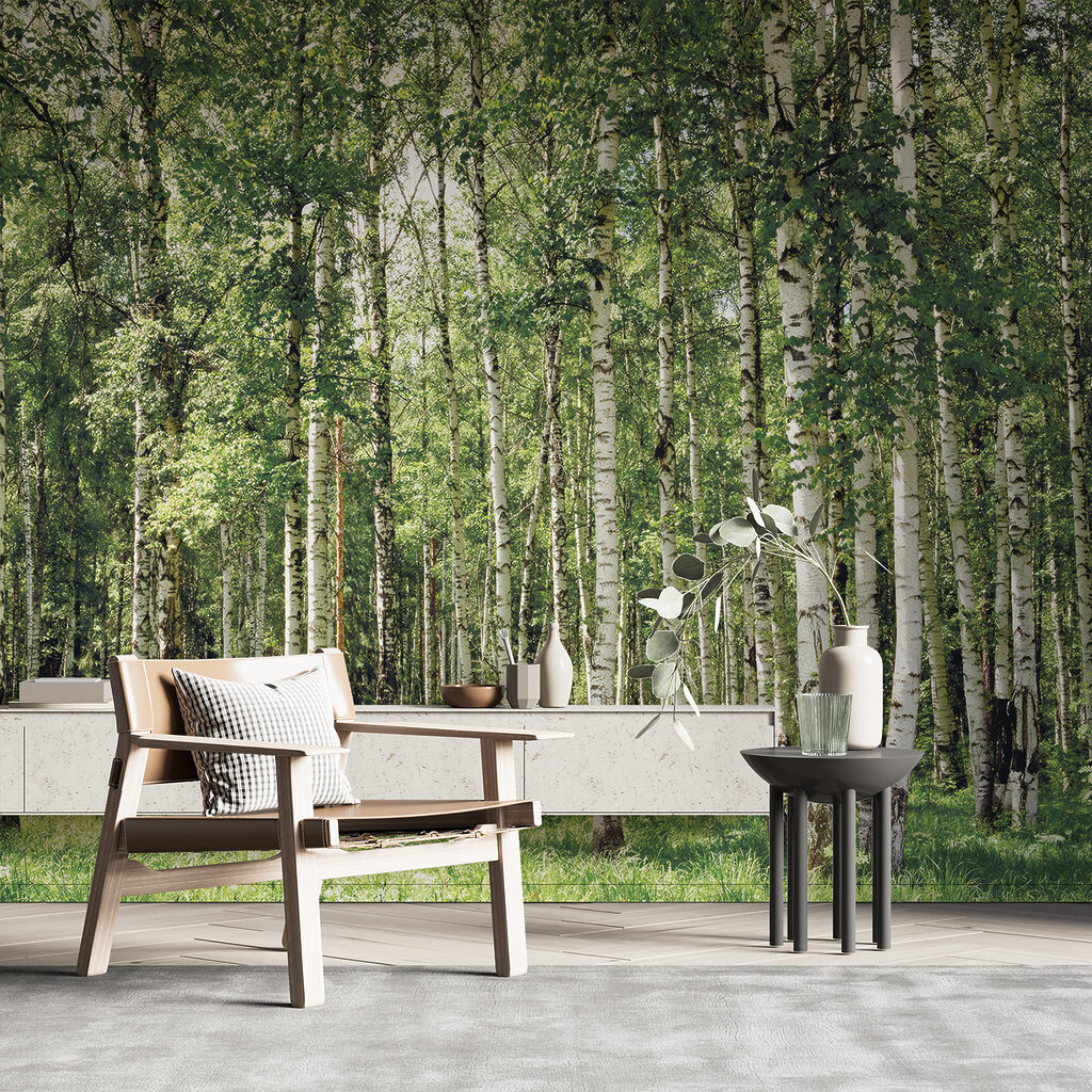 Berkenstammen boven groen gras — interieur 11